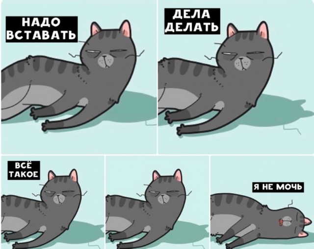 Так себе картинки 11.10.24