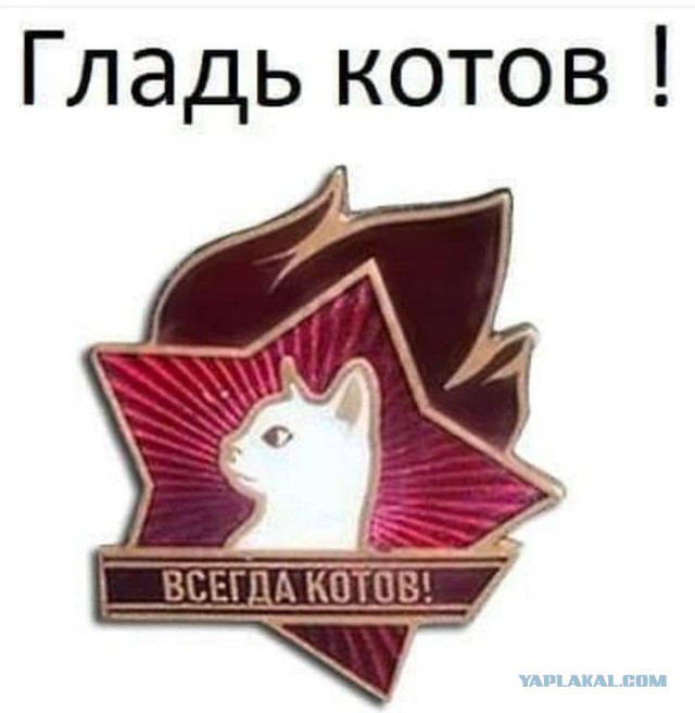 Как выглядели пионеры социалистических стран Европы. Их форма, значки и галстуки