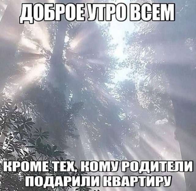 Шрус на вишнёвой поляне