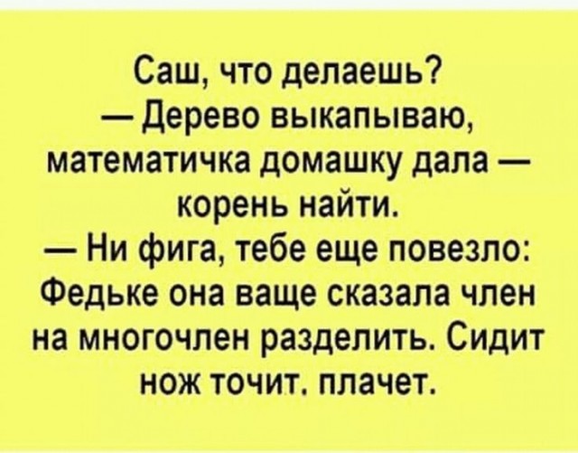Так себе картинки 13.02.25