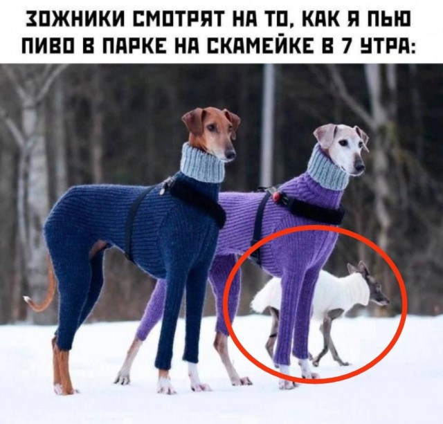 Картинки для сегодня
