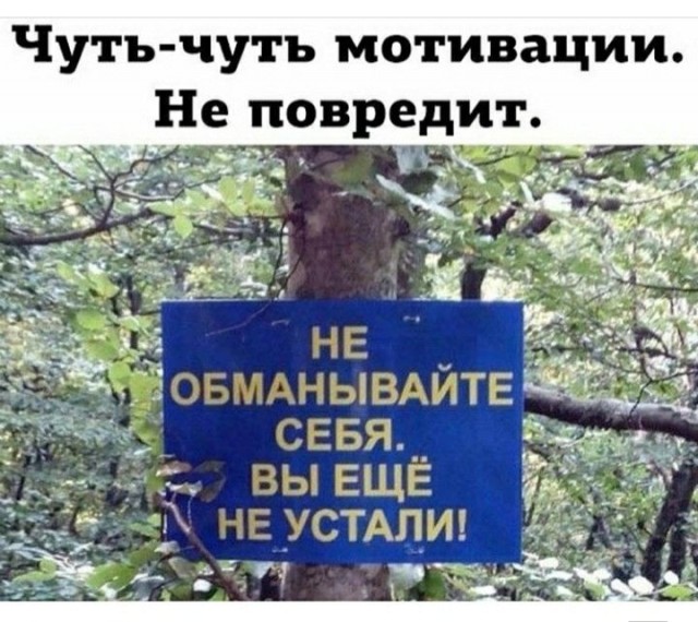 Прикольные и просто красивые картинки 14.03.2025