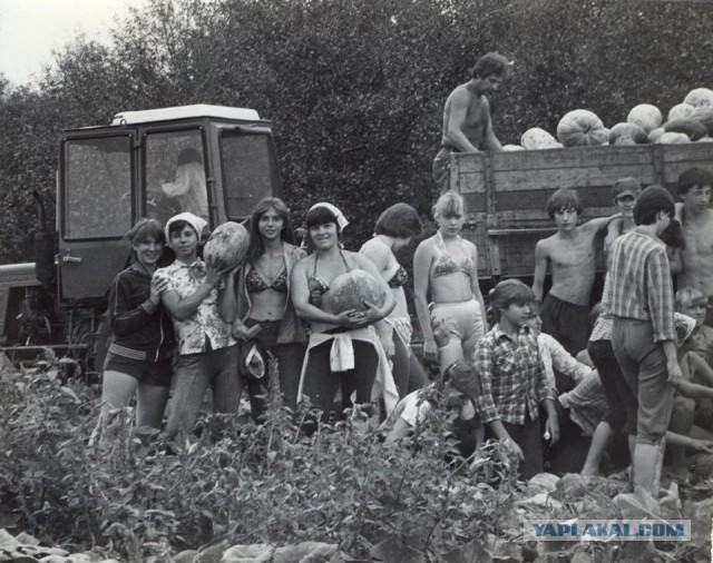 Ностальгия по работящим женщинам