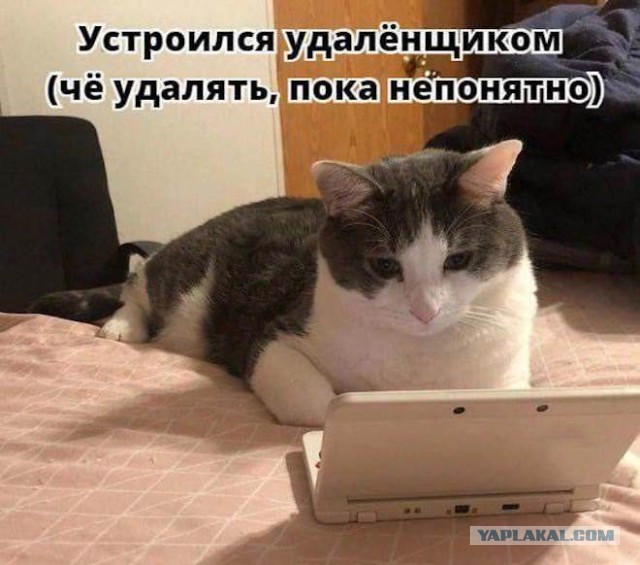 Завалялось тут случайно немного забавных картинок