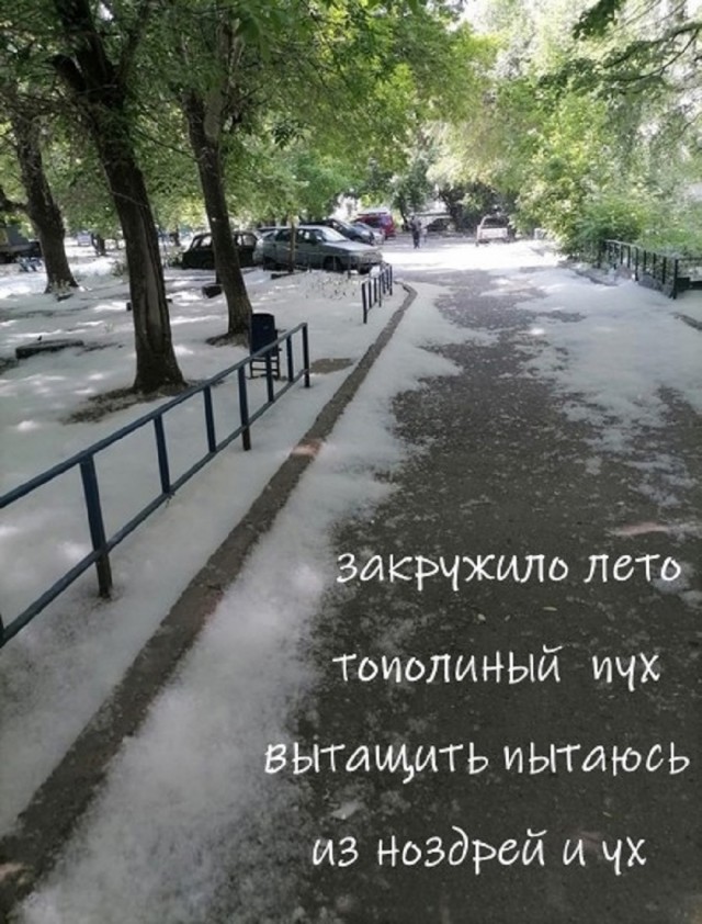 Так себе картинки 03.07.25