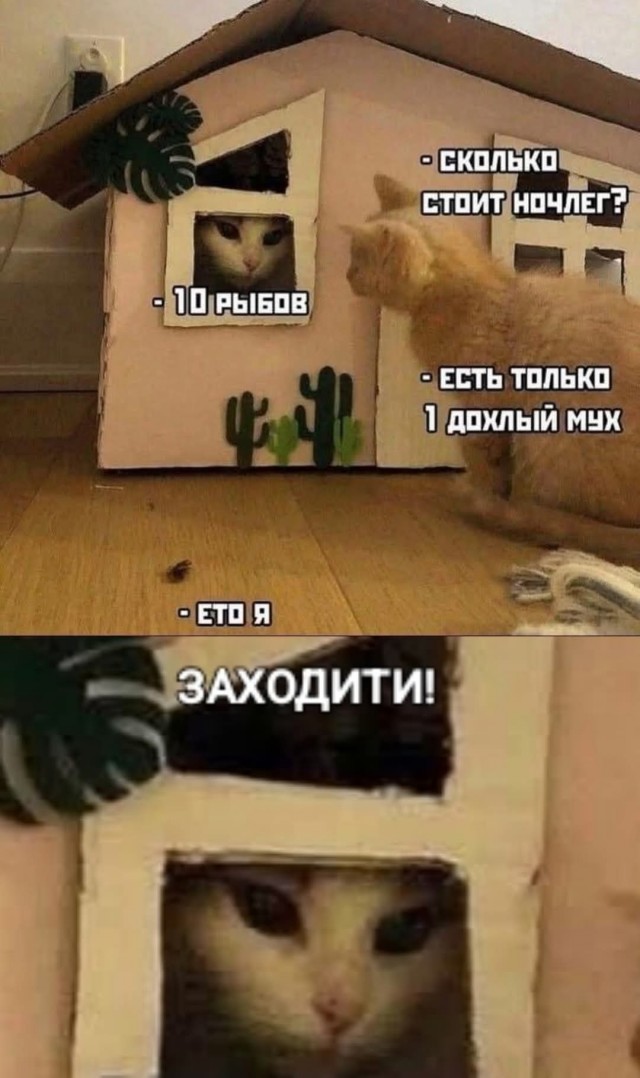 Так себе картинки 04.07.25