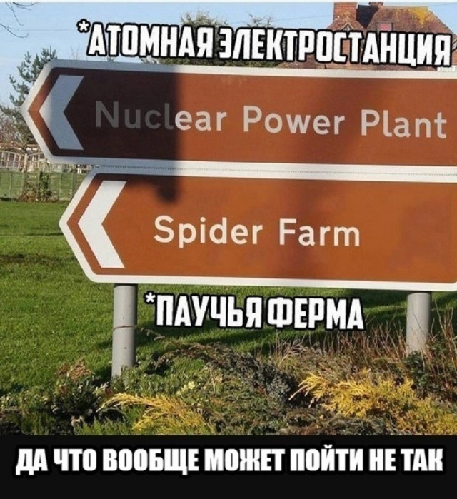 Так себе картинки 07.07.25