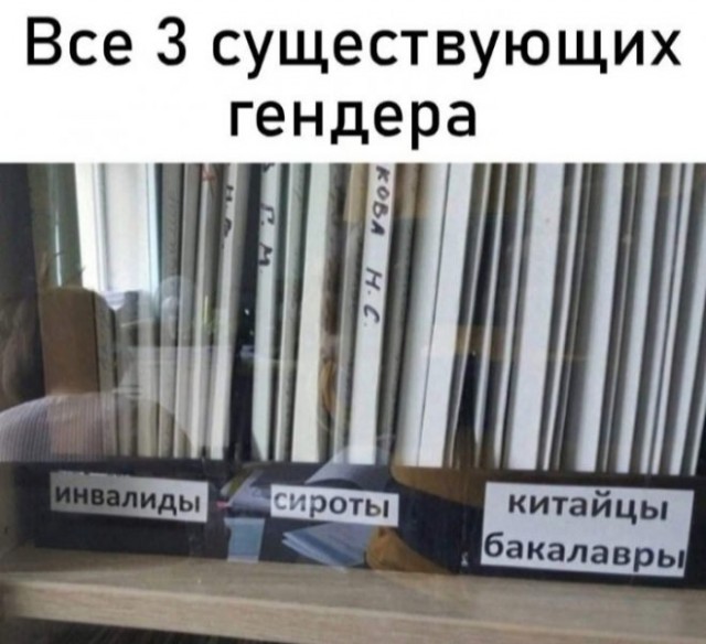 Веселые картинки в пятницу (08.08)