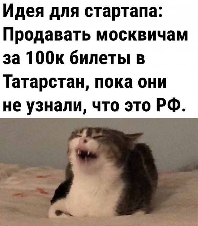 Так себе картинки 02.10.25