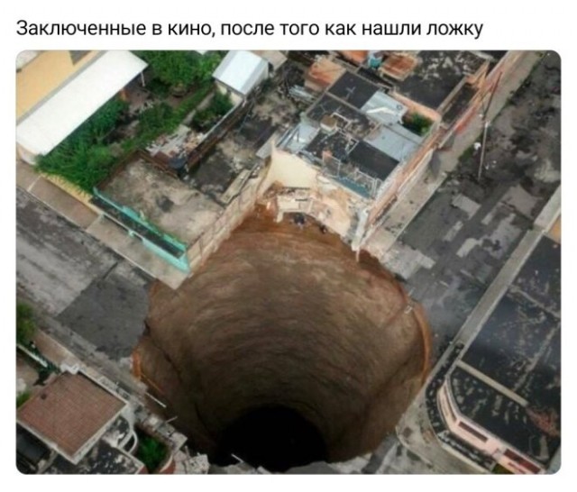 Веселые картинки в пятницу (14.11)