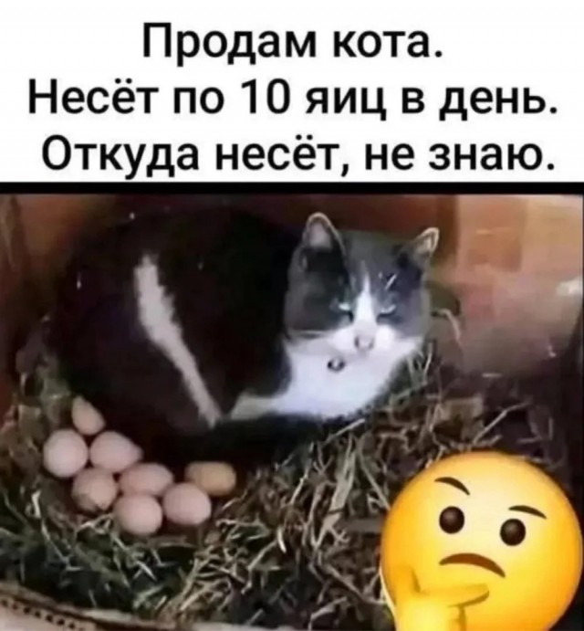 С понедельником …