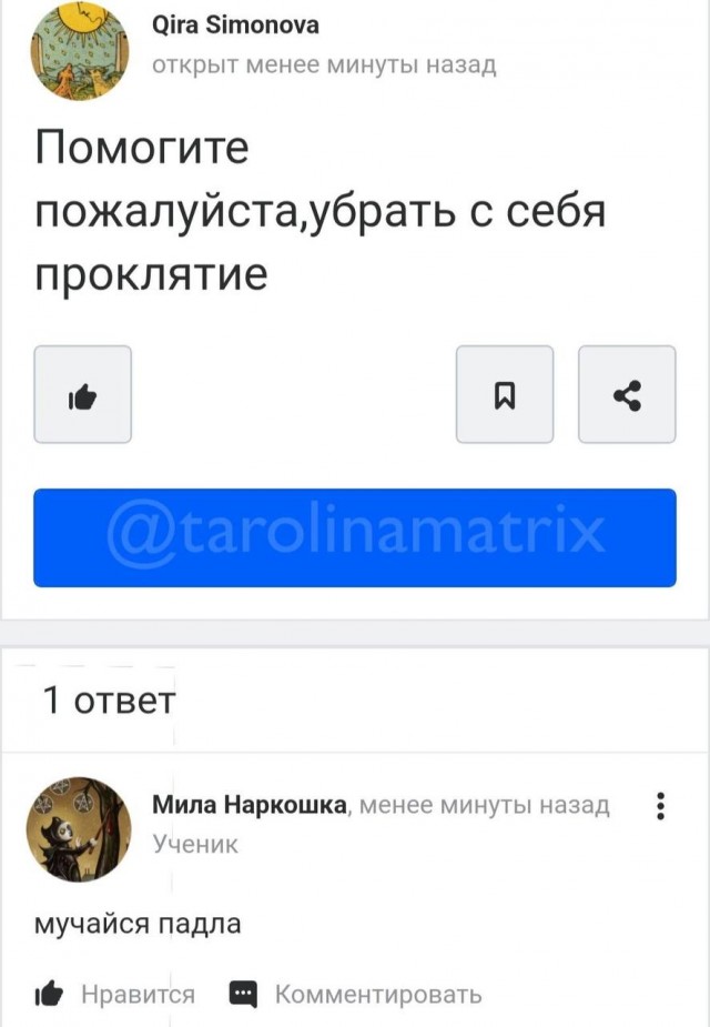 Веселые картинки в маленькую пятницу (19.11)