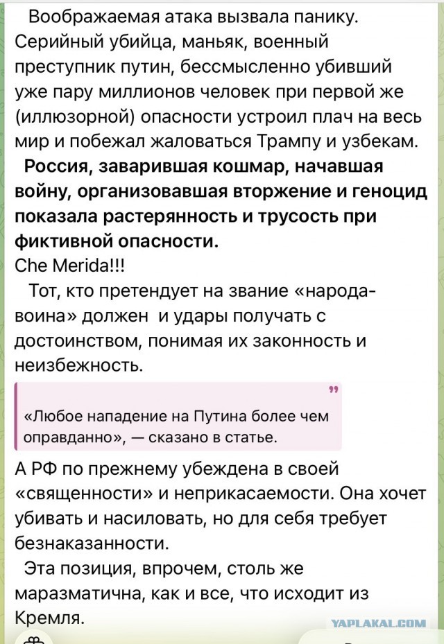 Россия передала США контроллер дрона, летевшего на резиденцию Путина