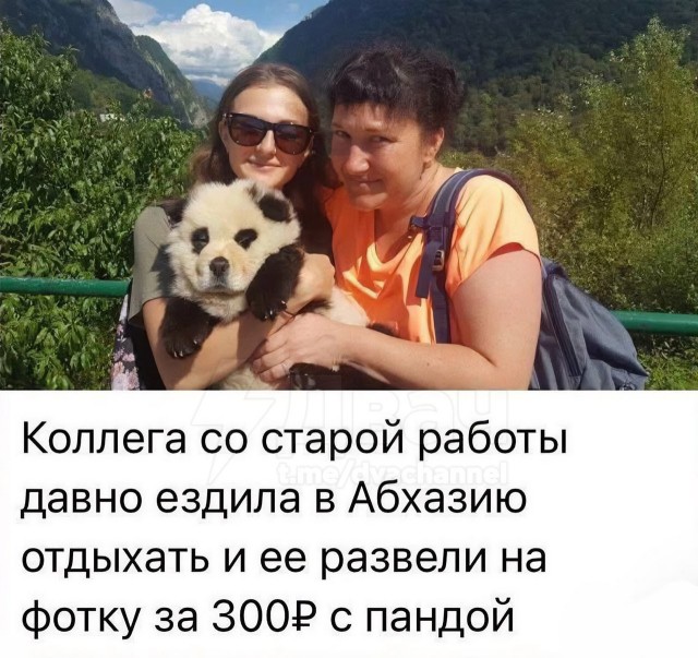 Россиянка нашла в Абхазии редкую панду и заплатила 300 рублей за фото с ней
