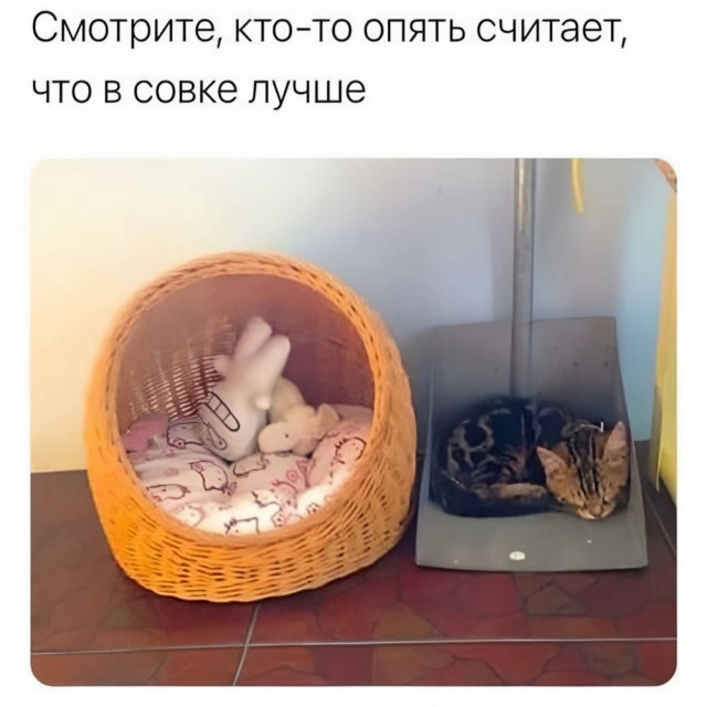 Я хожу везде пешком, будто ё*нутый мешком