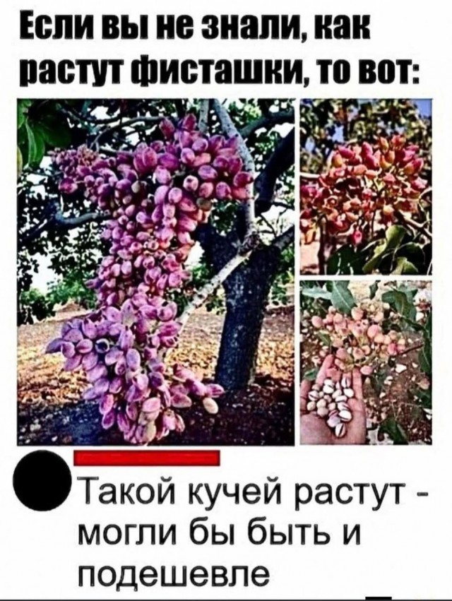 Маленькая пятница 4.02