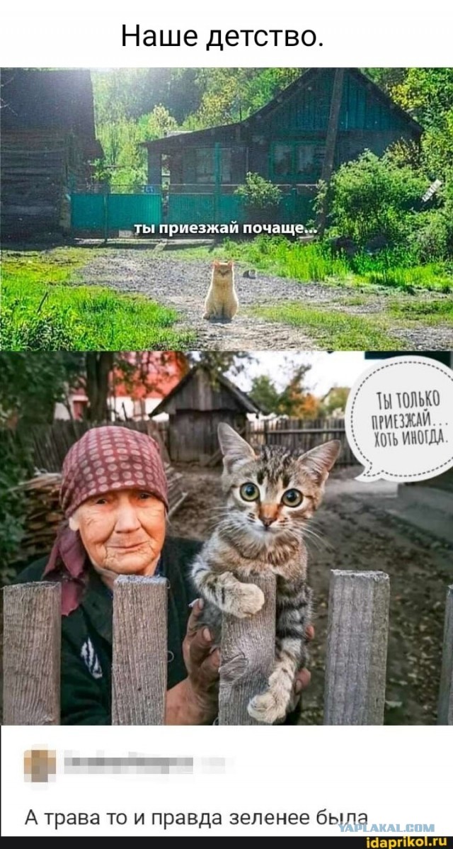 Снится мне деревня