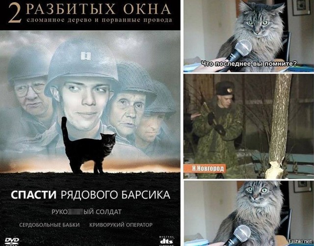 Шерстяные подснежники