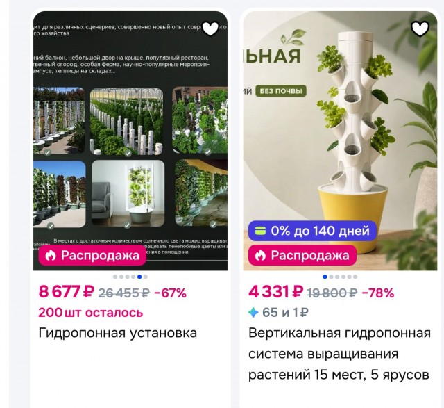 Капуста