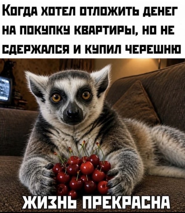 Картиночки, баянчики 26 июня