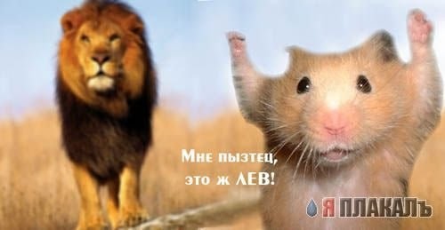 Прошлое