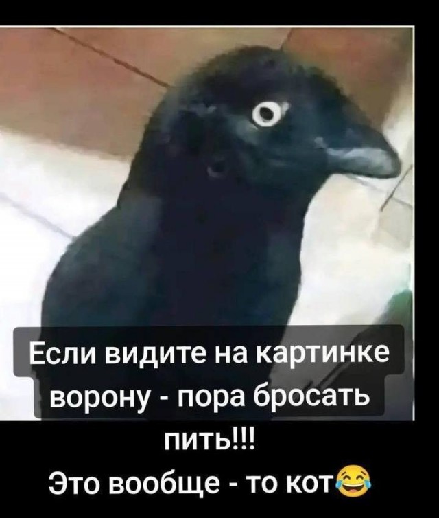 Прикольные и просто красивые картинки 04.09.2026