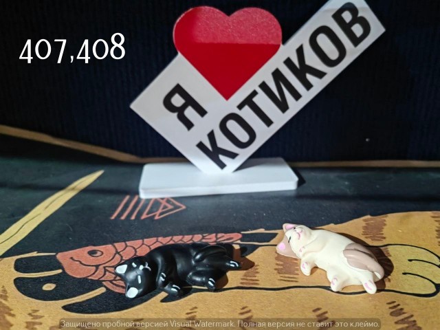 Жизнь домашнего приюта "Котоленд" 563