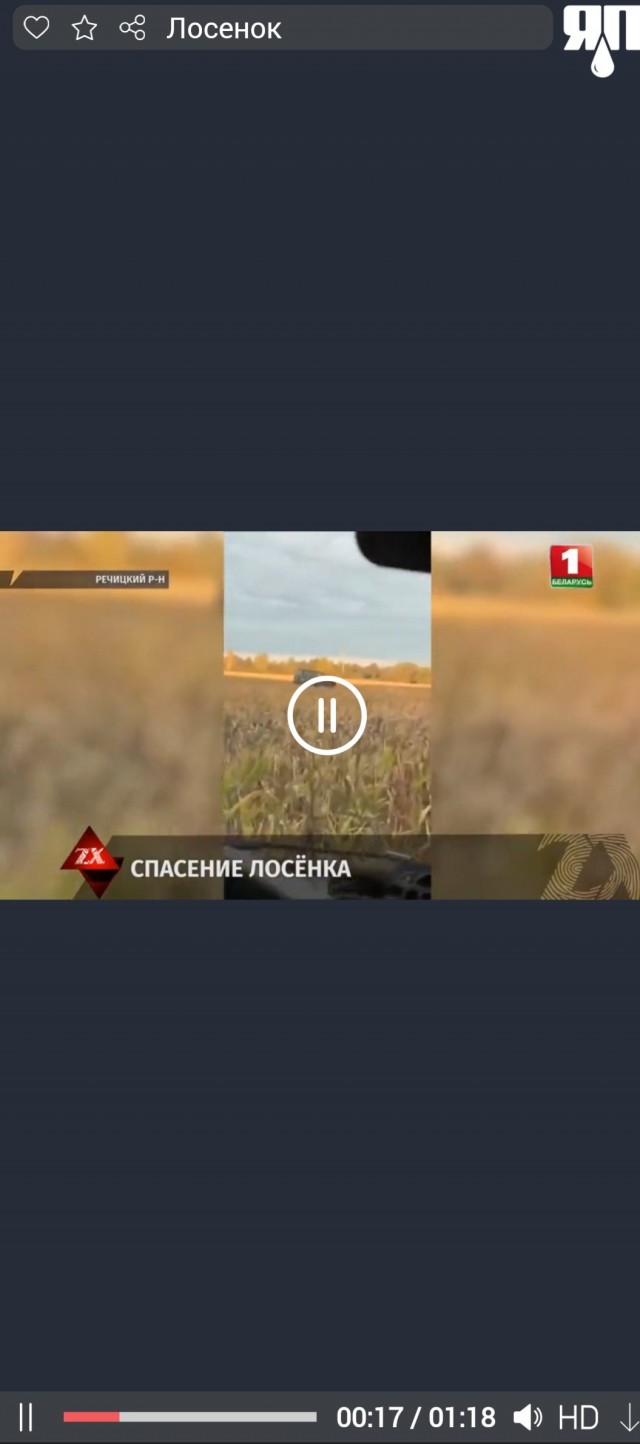 Не кажет видео на телефоне совсем.