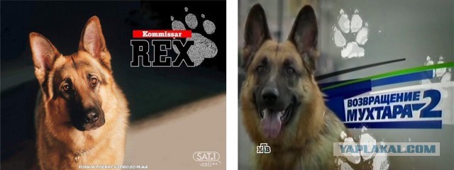 Адаптации сериалов на наш лад