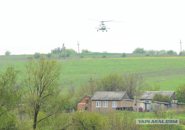 Перестрелка между ополчением и войсками