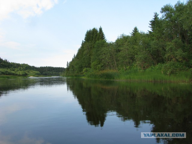 Поход по-американски