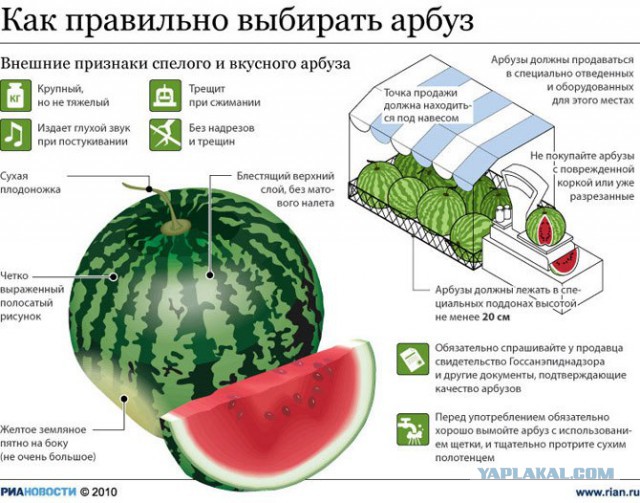 Всем зеленки!
