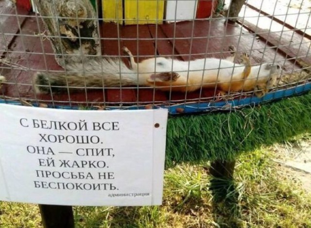 Картинки