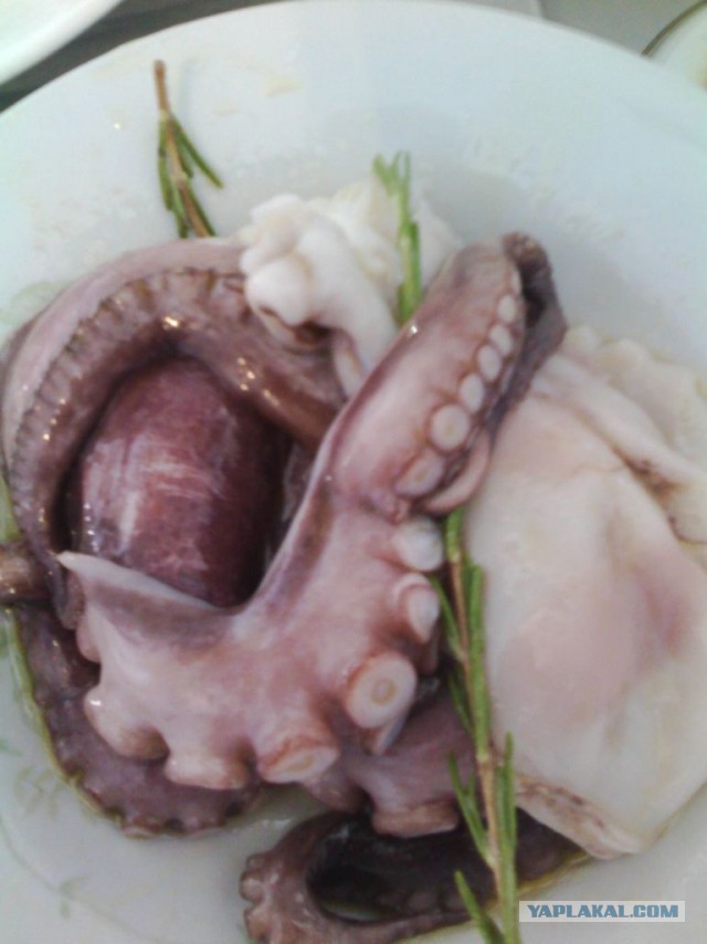 Кухня (кулинарное и околокулинарное общение)