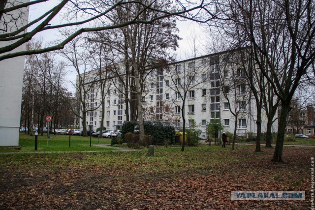 Берлинские панельки