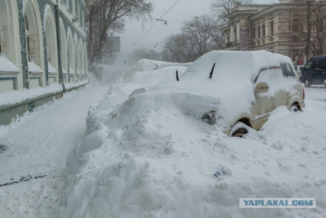 А во Владивостоке снова снежок
