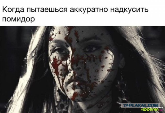 Весёлые картинки