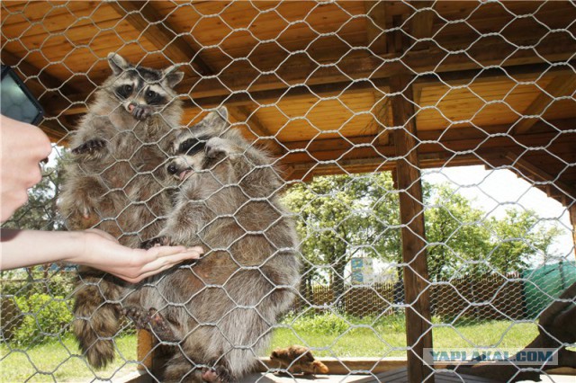 Вечерний Геленджик