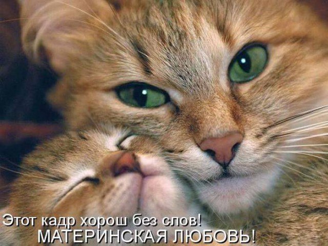 Подборка картинок из сети