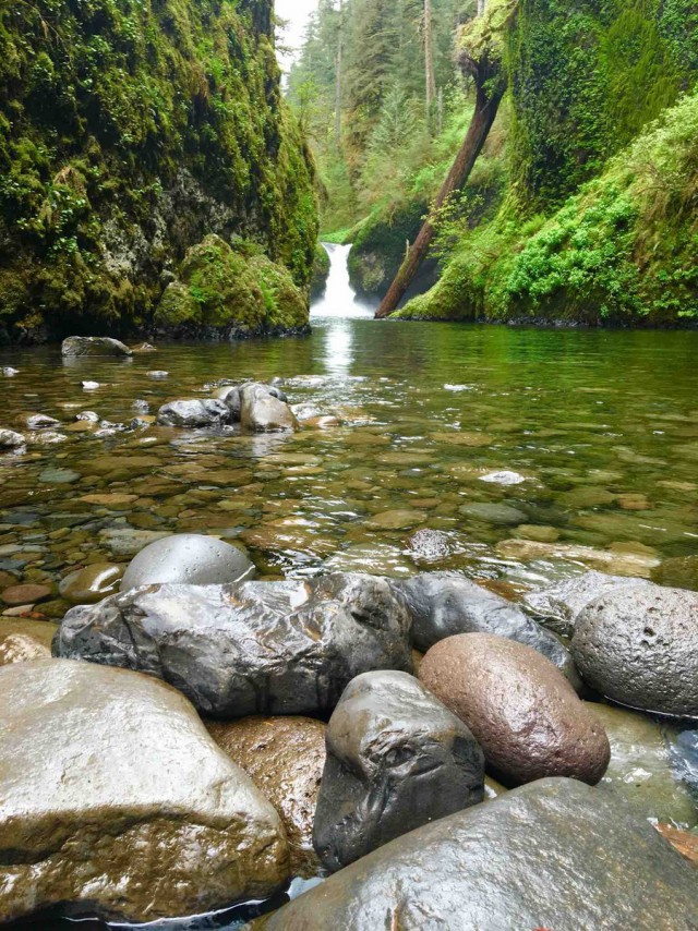 Подборка интересных и веселых картинок