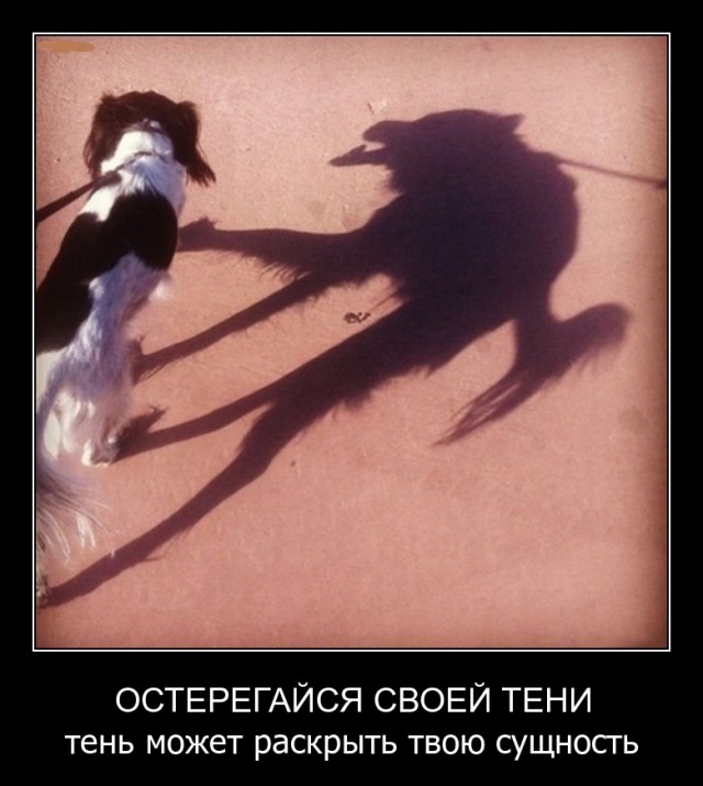 Субботняя подборочка картинок