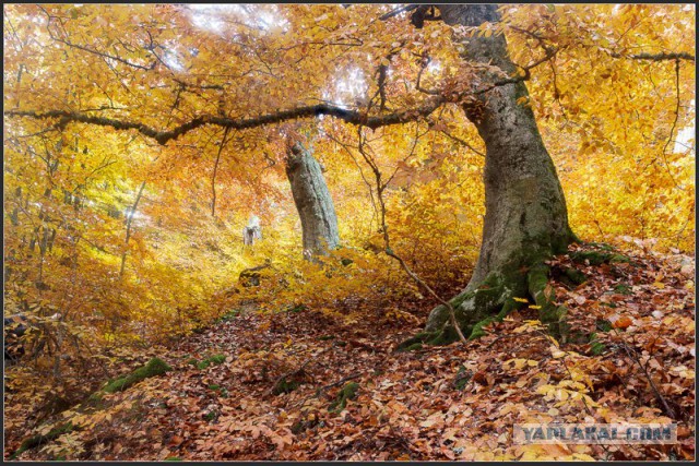 Фотографии из самых разных уголков планеты которые захватывают дух.