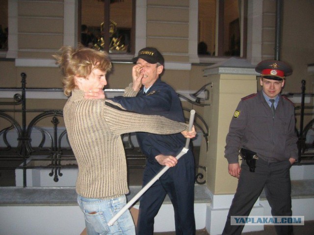 Картинки и гифки, всё стандартно