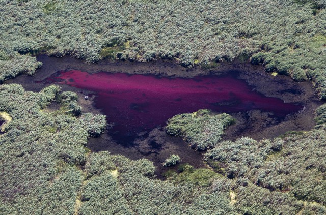 Полет над Россией. 38 фото