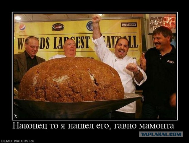 Довыделывался