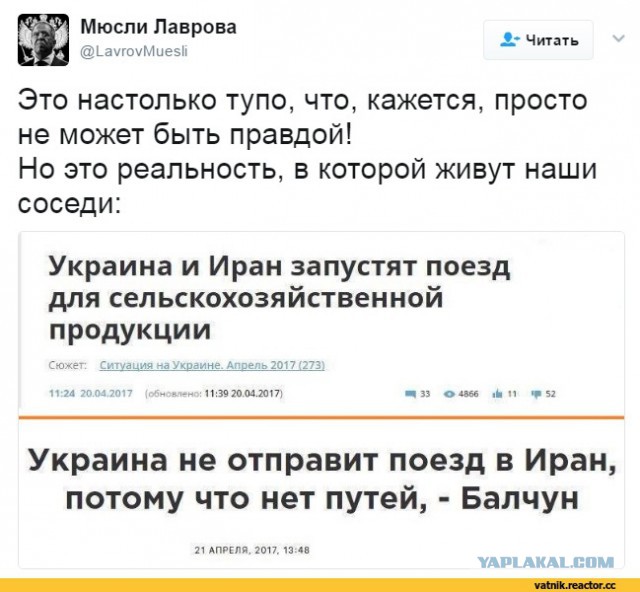 Забавные комментарии, шутки и фразы из этих ваших интернетов