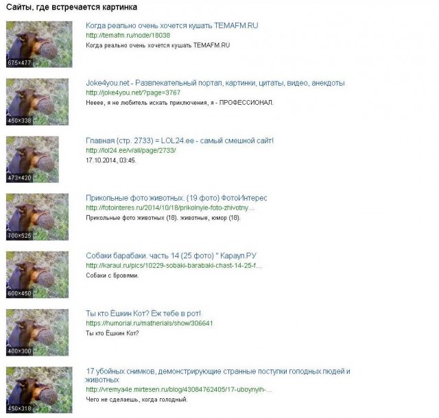 Жёваного ёжика принёс, ёжика откачали, колючки из пасти вытащили