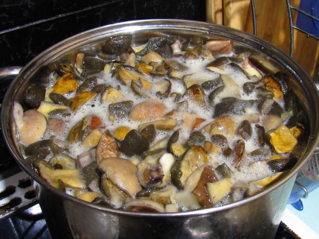 Караканский бор, тихая охота