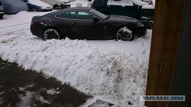 Почему Lexus, Infiniti и Acura нельзя считать премиальными брендами