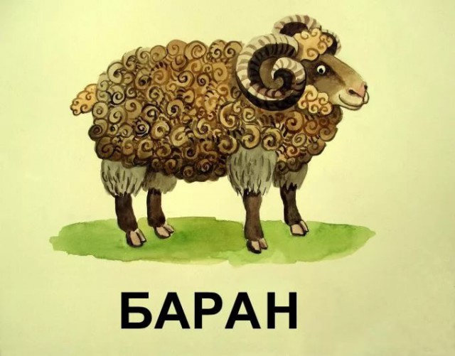 Открытое письмо горному брату